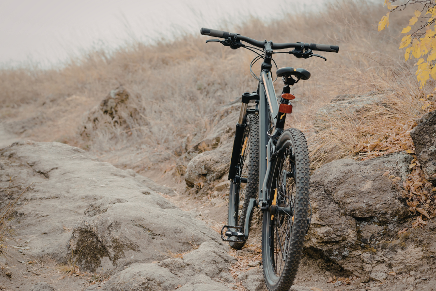 MTB